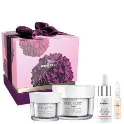 Monteil - Winterberry Christmas Box