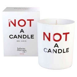 Juliette Has a Gun Parfums - Candle