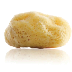 Gertraud Gruber - Natur Gesichtsschwamm