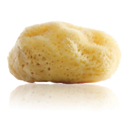 Gertraud Gruber - Natur Körperschwamm