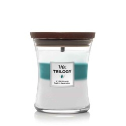 WoodWick - Icy Woodland Medium Hourglass
